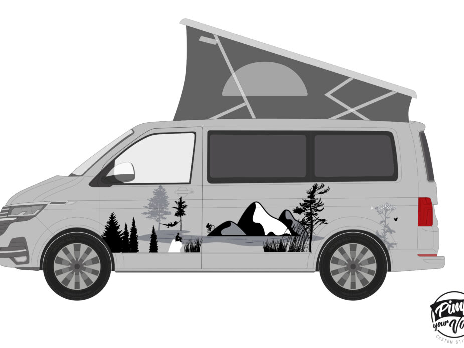 pack12-t6.1-conducteur